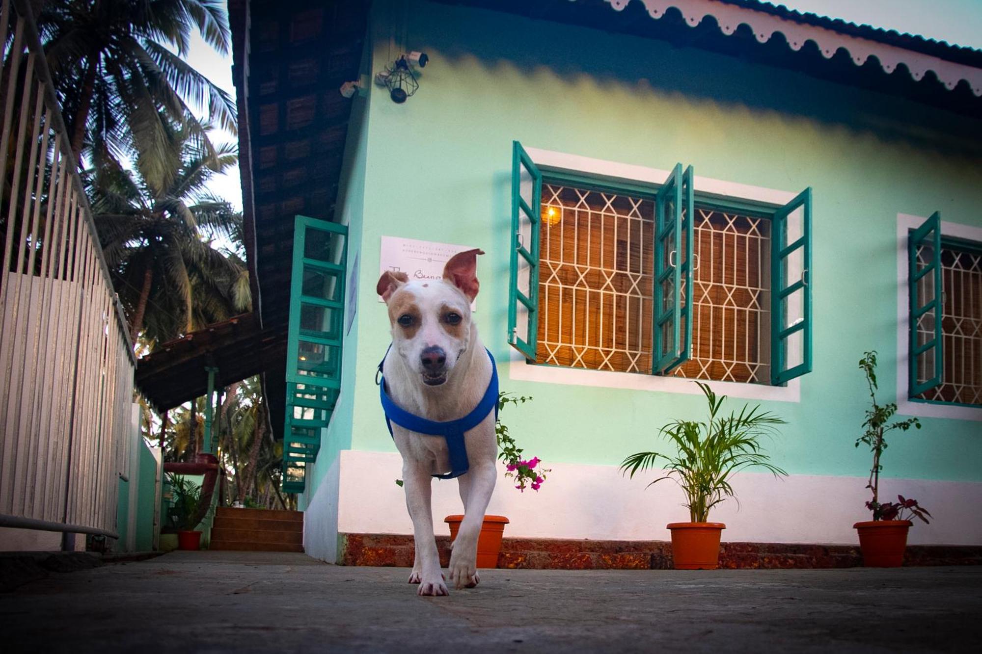 The Bungalow Bogmalo An 1880 Indo Portuguese Heritage Beach Villa South Goa Exterior photo